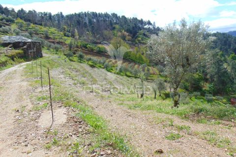 Helårsgrund i Vila Real, Vila Real, Vila Real - € 85.000 | Ref: 033291 - foto 7