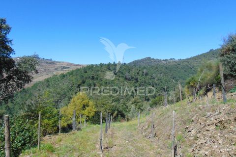 Helårsgrund i Vila Real, Vila Real, Vila Real - € 85.000 | Ref: 033291 - foto 22