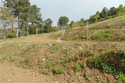 Helårsgrund i Vila Real, Vila Real, Vila Real - € 85.000 | Ref: 033291 - foto 23