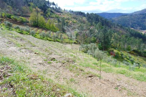 Helårsgrund i Vila Real, Vila Real, Vila Real - € 85.000 | Ref: 033291 - foto 24