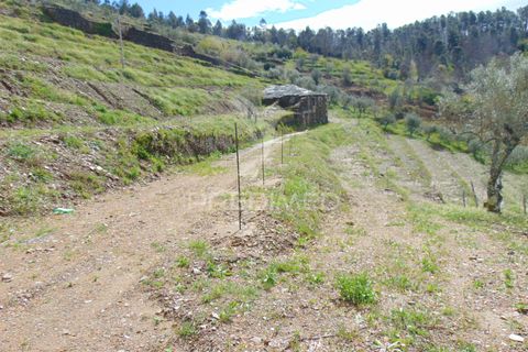 Helårsgrund i Vila Real, Vila Real, Vila Real - € 85.000 | Ref: 033291 - foto 26