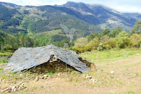 Helårsgrund i Vila Real, Vila Real, Vila Real - € 85.000 | Ref: 033291 - foto 28