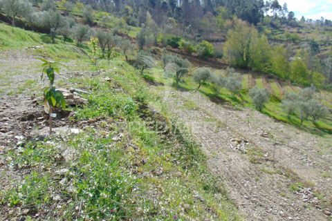 Helårsgrund i Vila Real, Vila Real, Vila Real - € 85.000 | Ref: 033291 - foto 31