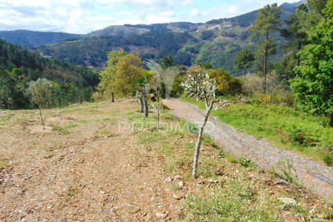 Helårsgrund i Vila Real, Vila Real, Vila Real - € 85.000 | Ref: 033291 - foto 32