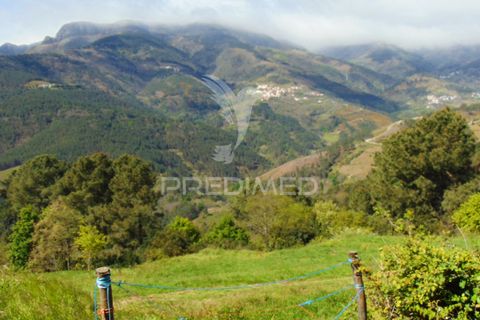 Helårsgrund i Vila Real, Vila Real, Vila Real - € 85.000 | Ref: 033291 - foto 33