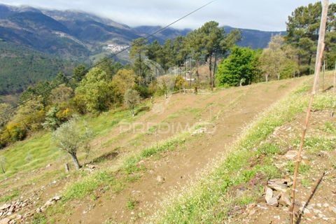 Helårsgrund i Vila Real, Vila Real, Vila Real - € 85.000 | Ref: 033291 - foto 35