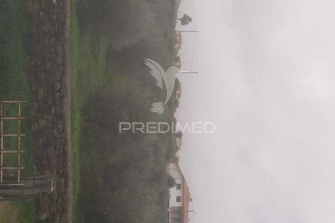 Terra a Armamar, Viseu, Armamar - € 48.000 | Ref: 033446 - foto 3