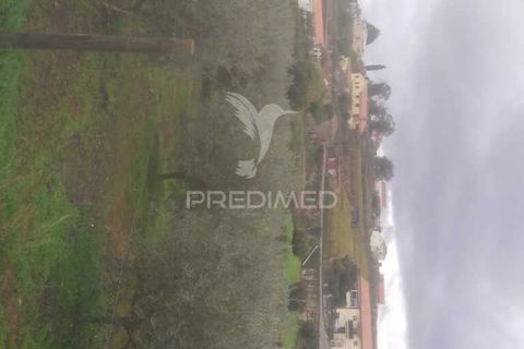 Terra a Armamar, Viseu, Armamar - € 48.000 | Ref: 033446 - foto 4