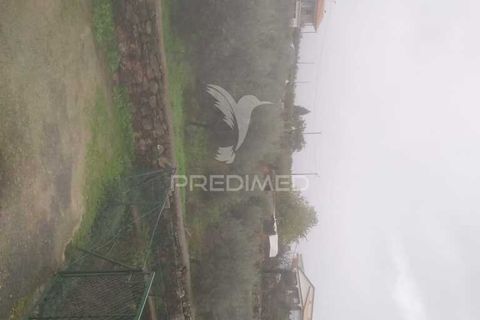 Terra a Armamar, Viseu, Armamar - € 48.000 | Ref: 033446 - foto 7