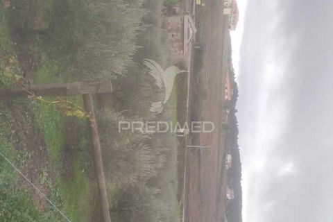 Terra a Armamar, Viseu, Armamar - € 48.000 | Ref: 033446 - foto 9
