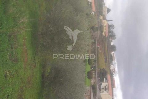 Terra a Armamar, Viseu, Armamar - € 48.000 | Ref: 033446 - foto 10
