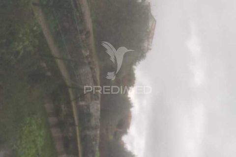 Terra a Armamar, Viseu, Armamar - € 48.000 | Ref: 033446 - foto 11