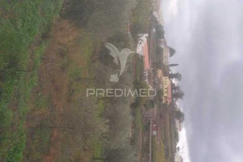 Terra a Armamar, Viseu, Armamar - € 48.000 | Ref: 033446 - foto 12