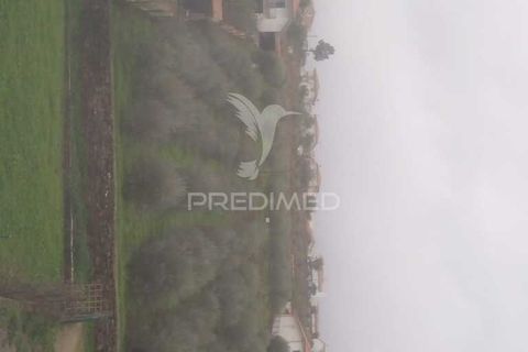 Terra a Armamar, Viseu, Armamar - € 48.000 | Ref: 033446 - foto 20