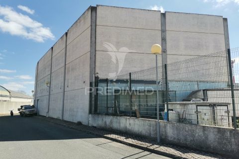 Erhvervsejendom i Beja, Beja, Beja - € 550.000 | Ref: 035373 - foto 6