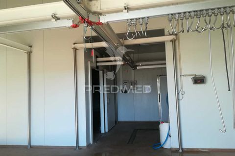 Erhvervsejendom i Beja, Beja, Beja - € 550.000 | Ref: 035373 - foto 7