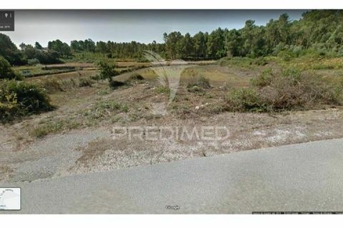 Helårsgrund i Ourem, Santarem, Ourem - € 25.000 | Ref: 035455 - foto 1