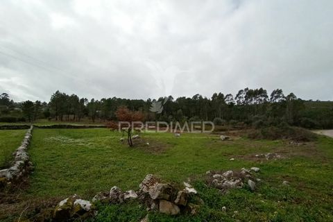 Helårsgrund i Ourem, Santarem, Ourem - € 25.000 | Ref: 035455 - foto 2