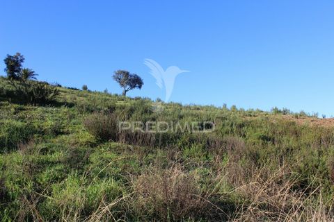Helårsgrund i Silves, Faro, Silves - € 31.500 | Ref: 036022 - foto 2