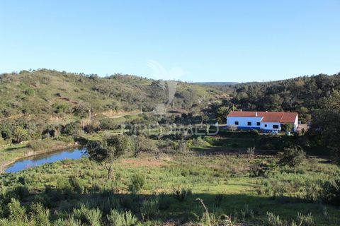 Helårsgrund i Silves, Faro, Silves - € 31.500 | Ref: 036022 - foto 3