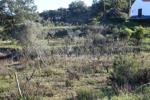 Helårsgrund i Silves, Faro, Silves - € 31.500 | Ref: 036022 - foto 6