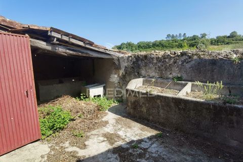 Byhus i Alcanena, Santarem, Alcanena - € 28.500 | Ref: 037024 - foto 17