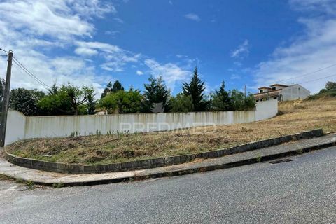 Tomt i Chamusca, Santarem, Chamusca - € 26 750 | Ref: 037795 - foto 2