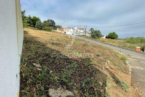 Tomt i Chamusca, Santarem, Chamusca - € 26 750 | Ref: 037795 - foto 3