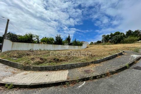 Tomt i Chamusca, Santarem, Chamusca - € 26 750 | Ref: 037795 - foto 5