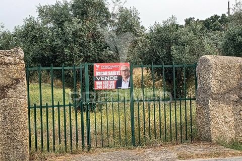 Helårsgrund i Nisa, Portalegre, Nisa - € 55.000 | Ref: 038140 - foto 1