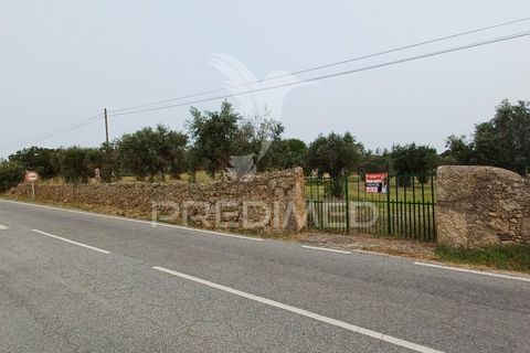 Helårsgrund i Nisa, Portalegre, Nisa - € 55.000 | Ref: 038140 - foto 2