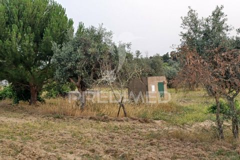 Helårsgrund i Nisa, Portalegre, Nisa - € 55.000 | Ref: 038140 - foto 5