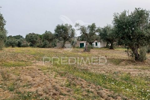 Helårsgrund i Nisa, Portalegre, Nisa - € 55.000 | Ref: 038140 - foto 6
