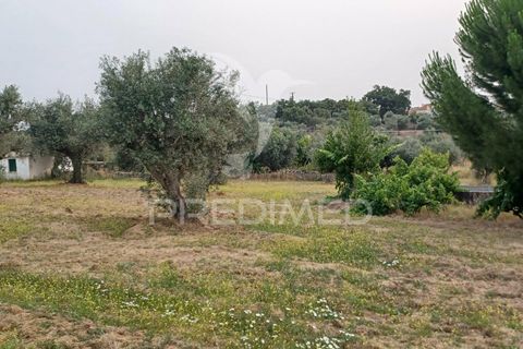 Helårsgrund i Nisa, Portalegre, Nisa - € 55.000 | Ref: 038140 - foto 7