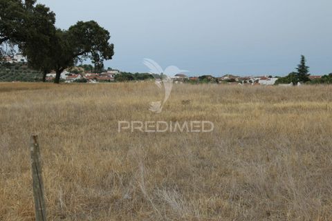 Tomt i Alandroal, Evora, Alandroal - € 41 000 | Ref: 038504 - foto 2