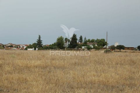 Tomt i Alandroal, Evora, Alandroal - € 41 000 | Ref: 038504 - foto 3