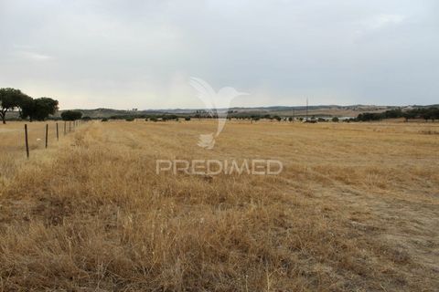 Tomt i Alandroal, Evora, Alandroal - € 41 000 | Ref: 038504 - foto 4