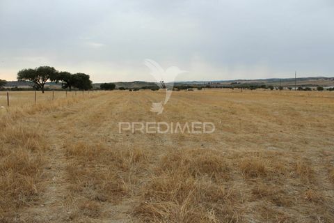 Tomt i Alandroal, Evora, Alandroal - € 41 000 | Ref: 038504 - foto 5