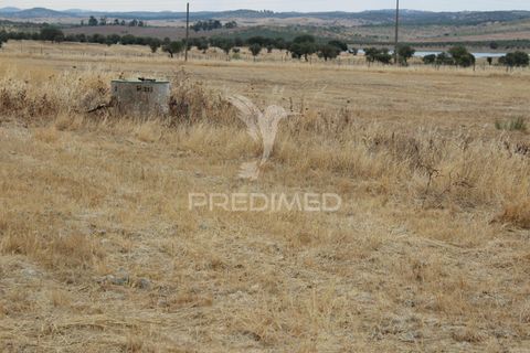 Tomt i Alandroal, Evora, Alandroal - € 41 000 | Ref: 038504 - foto 7