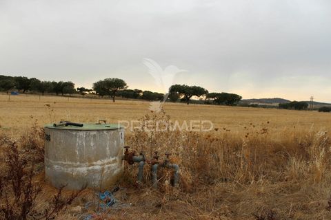 Tomt i Alandroal, Evora, Alandroal - € 41 000 | Ref: 038504 - foto 10