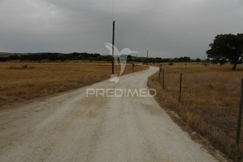 Tomt i Alandroal, Evora, Alandroal - € 41 000 | Ref: 038504 - foto 14