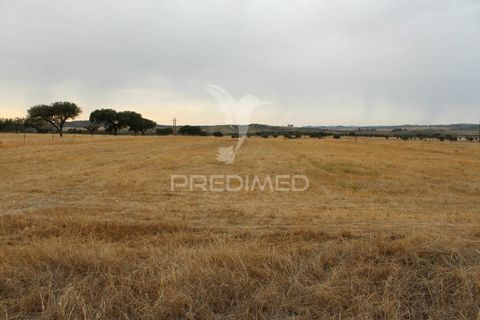 Tomt i Alandroal, Evora, Alandroal - € 41 000 | Ref: 038504 - foto 15