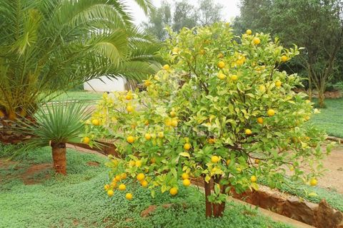 Byhus i Tavira, Faro, Tavira - € 369.000 | Ref: 038679 - foto 11