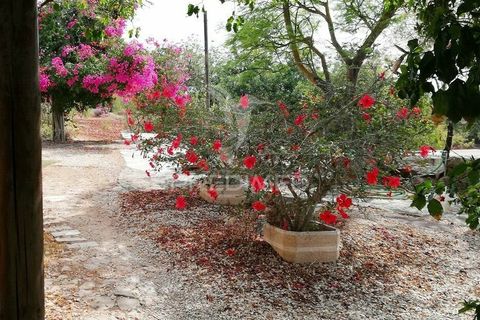 Byhus i Tavira, Faro, Tavira - € 369.000 | Ref: 038679 - foto 13