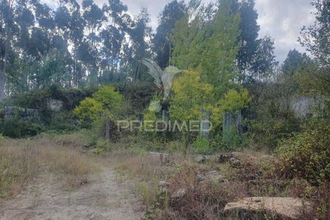 Helårsgrund i Fafe, Braga, Fafe - € 590.000 | Ref: 039384 - foto 1