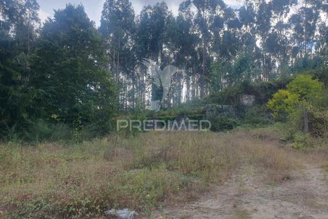Helårsgrund i Fafe, Braga, Fafe - € 590.000 | Ref: 039384 - foto 2