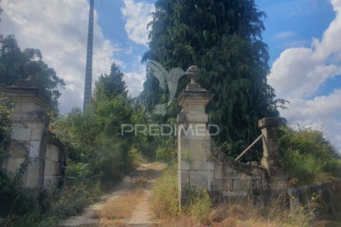 Helårsgrund i Fafe, Braga, Fafe - € 590.000 | Ref: 039384 - foto 3