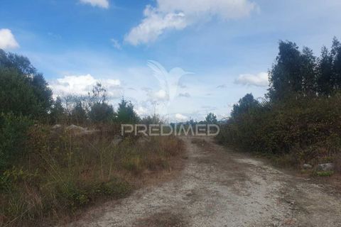 Helårsgrund i Fafe, Braga, Fafe - € 590.000 | Ref: 039384 - foto 4
