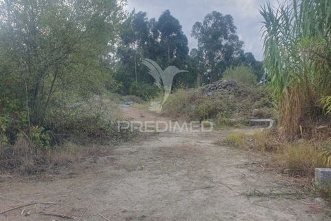 Helårsgrund i Fafe, Braga, Fafe - € 590.000 | Ref: 039384 - foto 5