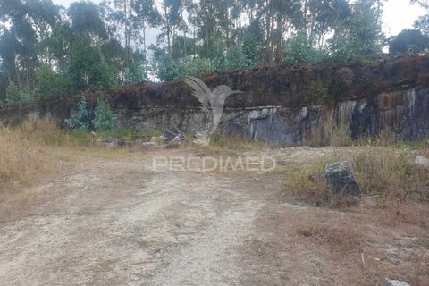 Helårsgrund i Fafe, Braga, Fafe - € 590.000 | Ref: 039384 - foto 7